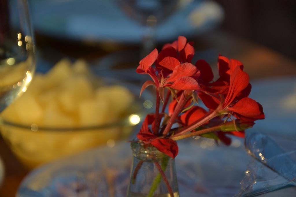 Podere Del Gesso تاركوينيا المظهر الخارجي الصورة