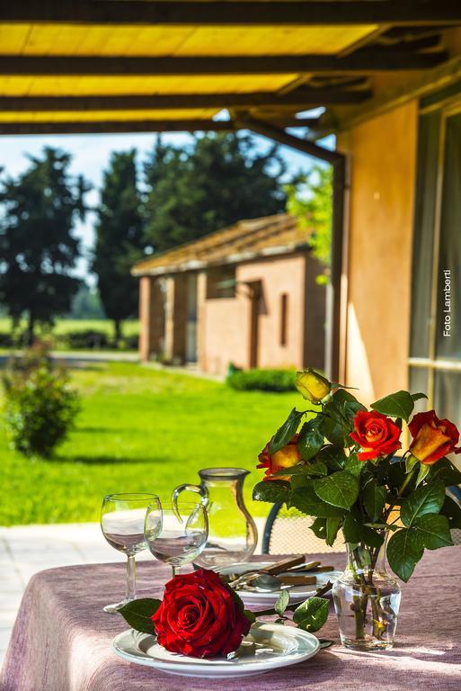 Podere Del Gesso تاركوينيا المظهر الخارجي الصورة
